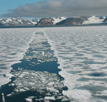 К концу XXI века в Северном Ледовитом океане летом не будет льда